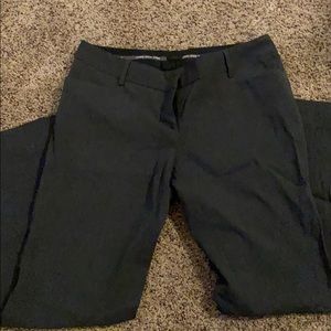 Express dress pants